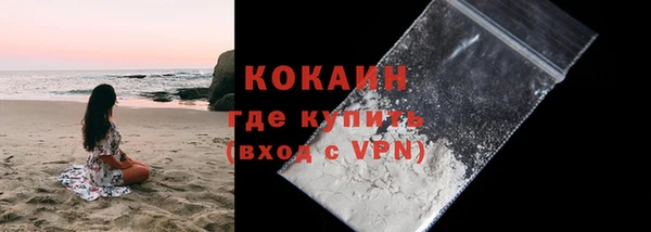 индика Пересвет