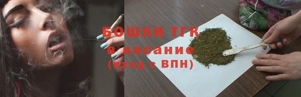 индика Пересвет