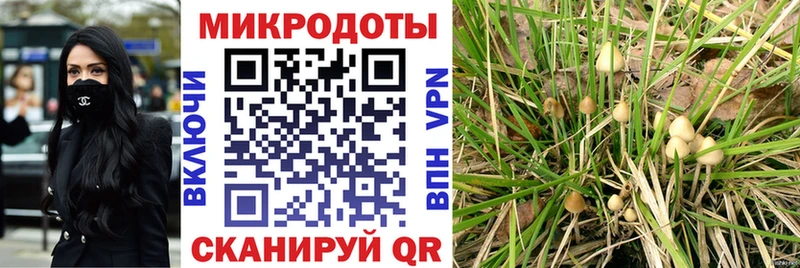 Галлюциногенные грибы Psilocybine cubensis  как найти закладки  Навашино 